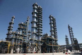 中石油下游業(yè)務(wù)堅(jiān)挺，一季度盈利或超百億元，附軟件開(kāi)發(fā)企業(yè)名單